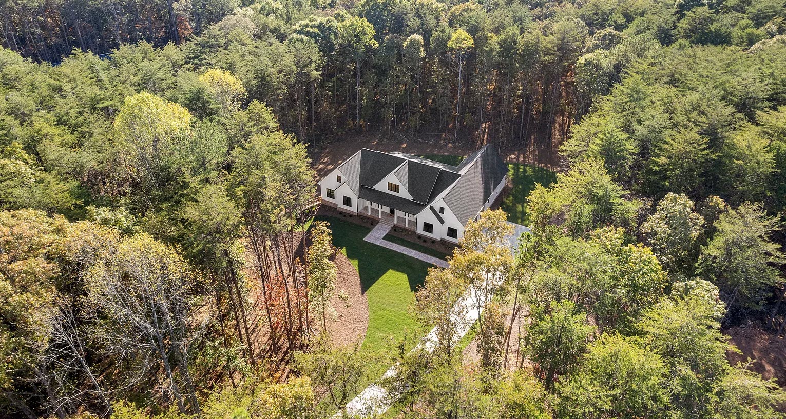 Savannah Cypress - Image 9